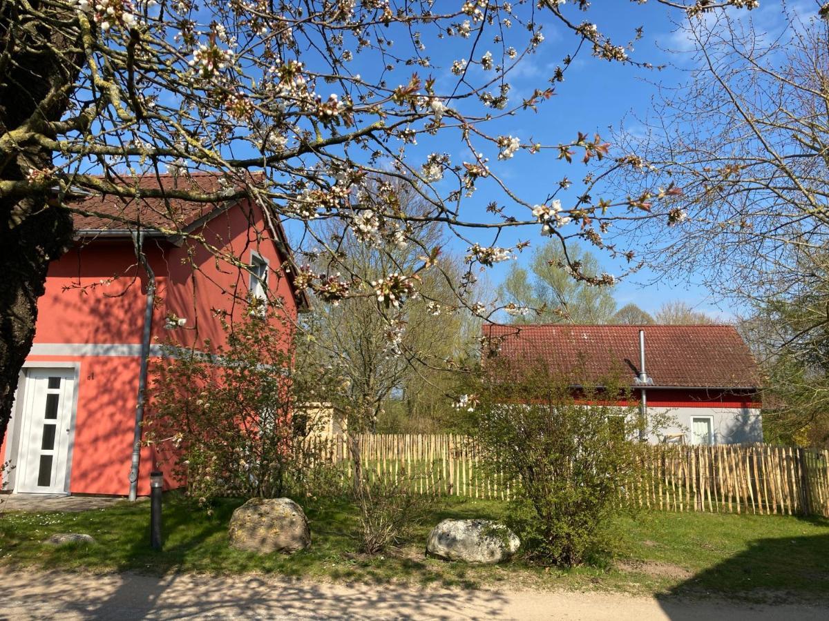 Urlaubsoase Ostsee Hohen Schoenberg 外观 照片